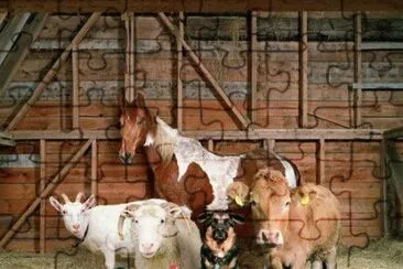 . jigsaw puzzle