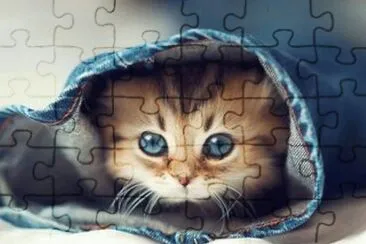 gatito tapado jigsaw puzzle