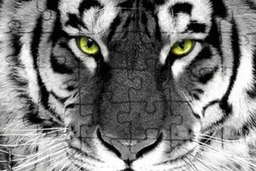 cara de tigre jigsaw puzzle