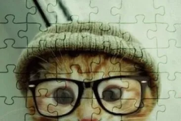 gatito con lentes jigsaw puzzle