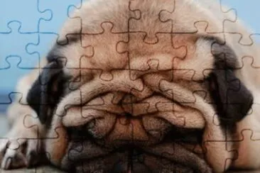 cansado jigsaw puzzle