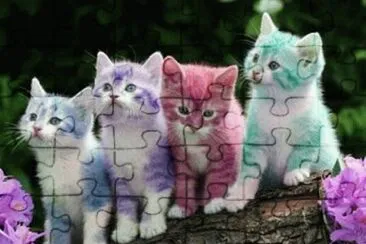 gatitos de colores jigsaw puzzle