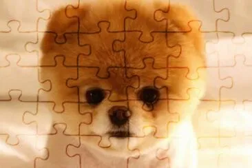perrito4 jigsaw puzzle