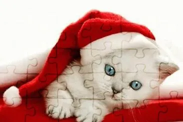 gatito4 jigsaw puzzle