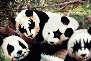 pandas jigsaw puzzle