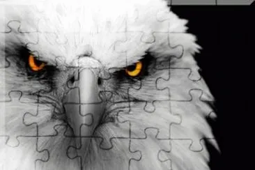 ave jigsaw puzzle