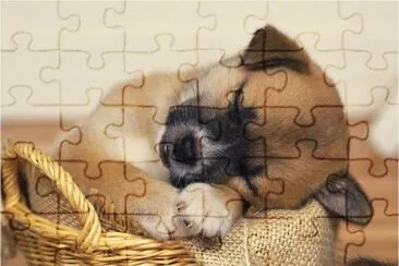 gosset jigsaw puzzle