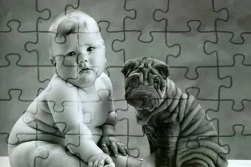 bebe y perrito