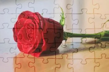 Pintura jigsaw puzzle