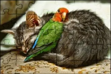BUENOS AMIGOS jigsaw puzzle