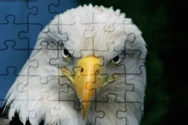 US symbol the Bold Eagle jigsaw puzzle