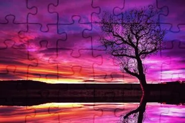 Purple Color