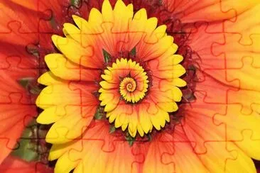 Nature 's Wondrous jigsaw puzzle
