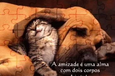 amizade jigsaw puzzle