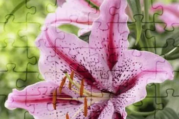 fleurs jigsaw puzzle