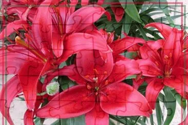fleurs jigsaw puzzle