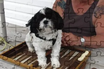 Isn 't that enough backgammon for now jigsaw puzzle