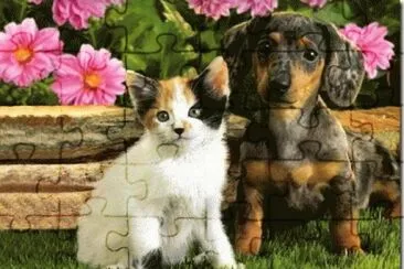 a jigsaw puzzle