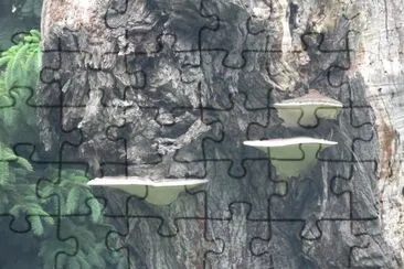 Fun guy fungi jigsaw puzzle