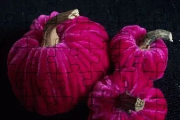 Purple Pumpkins