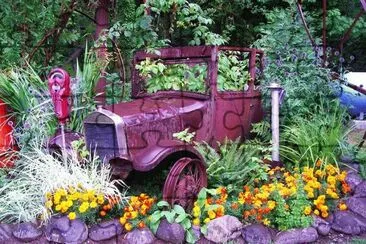 Rusty Car parked between the Flowers