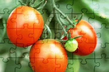 june26 jigsaw puzzle