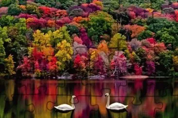 פאזל של autumn colours