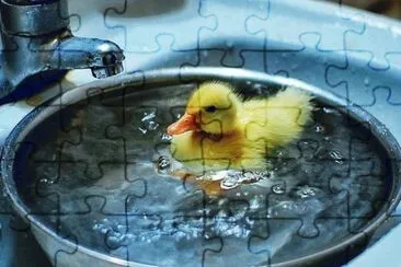 62 jigsaw puzzle