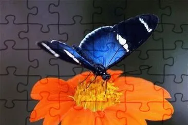 פאזל של - bela,(#)