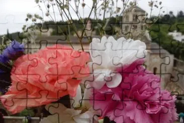 Temps de Flors 2014