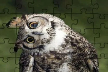 . jigsaw puzzle