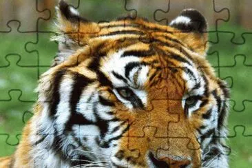 . jigsaw puzzle