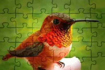 . jigsaw puzzle