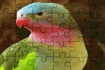 . jigsaw puzzle