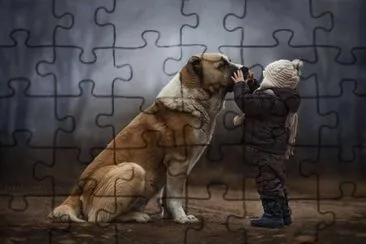animaux: st bernard