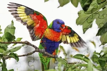 Rainbow Lorikeet Papua New Guinea jigsaw puzzle