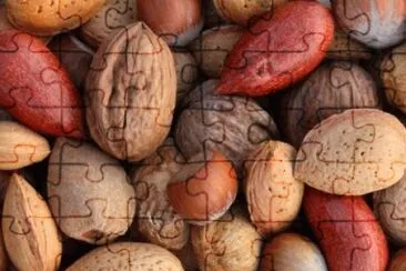 Fruits secs jigsaw puzzle