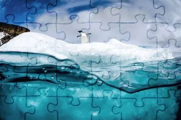 PINGÃœINO BALIARÃN. jigsaw puzzle