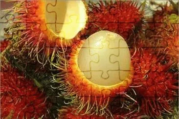 Rambutan