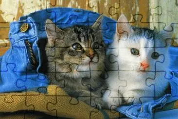 gatets jigsaw puzzle