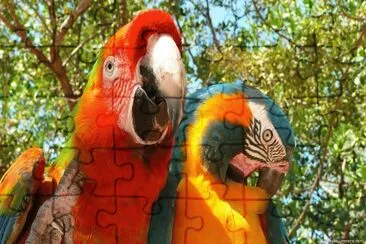 GUACAMAYOS jigsaw puzzle