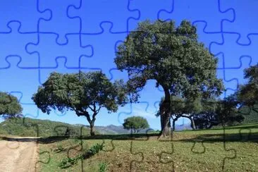 RUMBO AL PANTANO DE LOS HURONES jigsaw puzzle