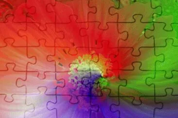 Flower Centre jigsaw puzzle