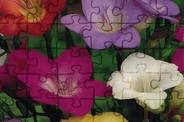 Fresies jigsaw puzzle