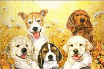 Pintura