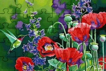 Hummingbird and Poppies
