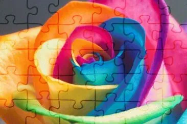 Flor colorida jigsaw puzzle