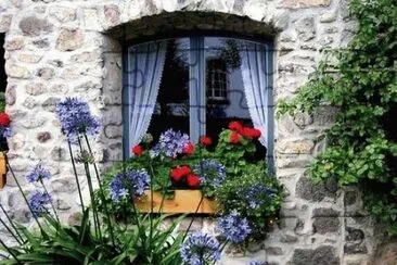 Windows in Austria