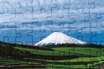 194