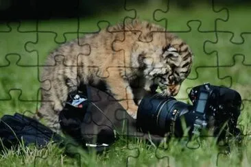 Â¿cÃ³mo me tomo la foto?